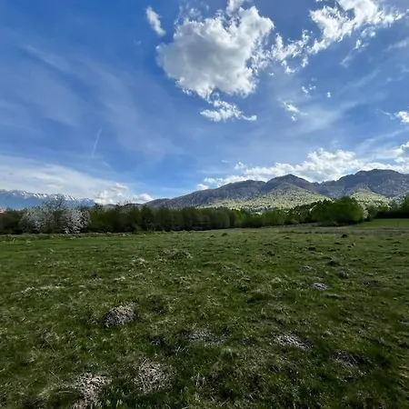 Alpine Tatil Evi *
